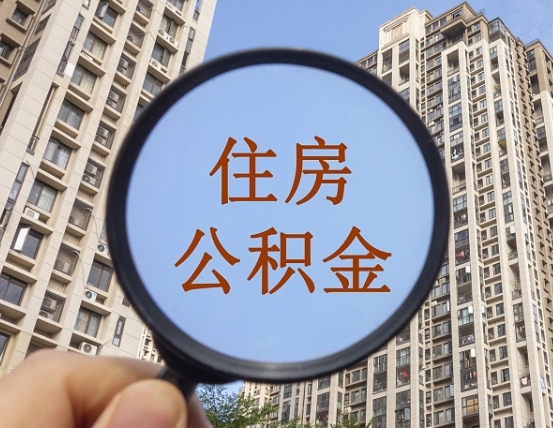 德清我的个人公积金查询（德清公积金查询 个人 余额查询）